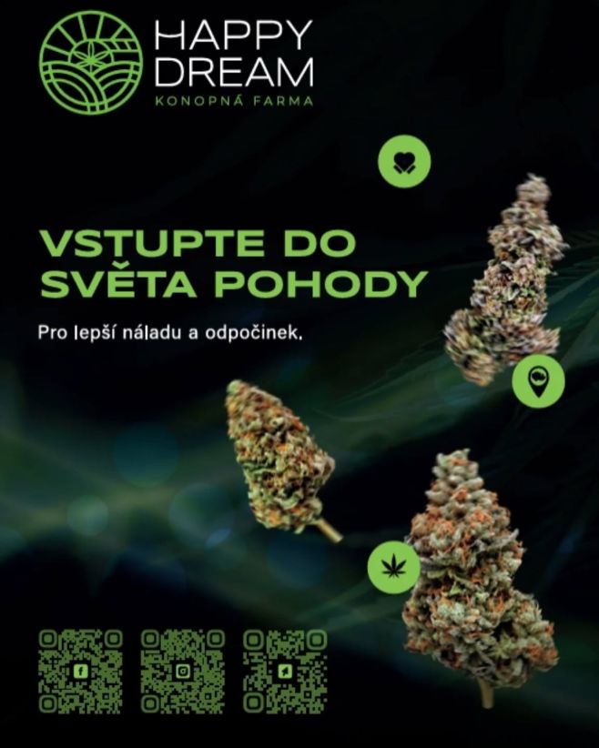 VÍC JAK 15 ODRŮD NA VÝBĚR NA JEDNOM MÍSTĚ.... www.happydreamcbd.cz #cbd #bylinky #lightdeprivation #hemp #greenhouse...